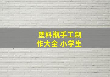 塑料瓶手工制作大全 小学生